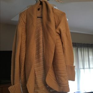 Long Ann Taylor Winter Sweater (Tan)